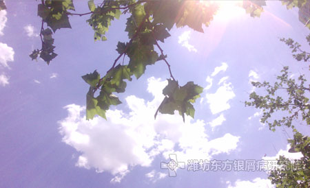 银屑病夏季预防
