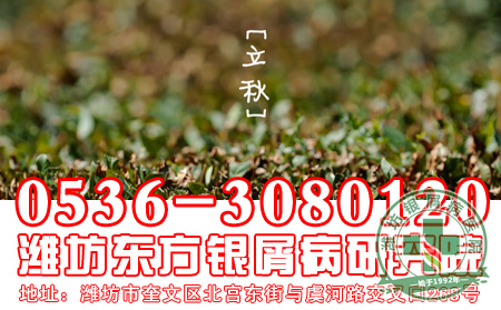 银屑病患者立秋节气养生吃什么