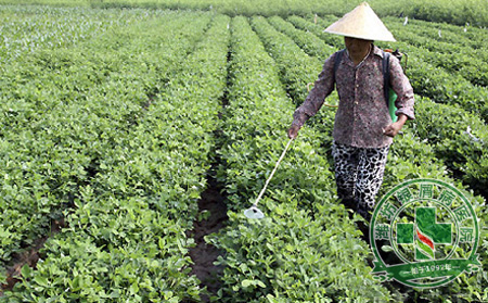 小暑时节患有银屑病的农民有哪些注意事项
