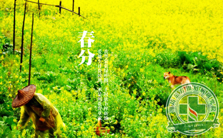 春分之后的牛皮癣患者日常饮食应如何调理
