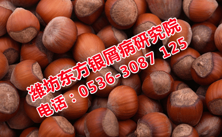 冬季银屑病患者饮食食疗